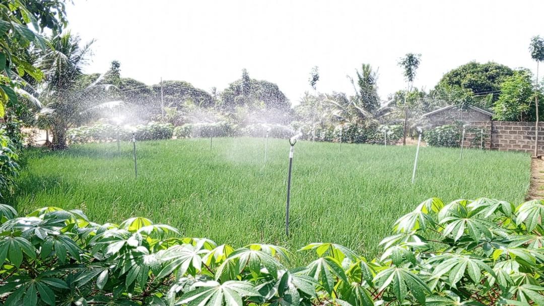 A Smart Irrigation System: Smart Green