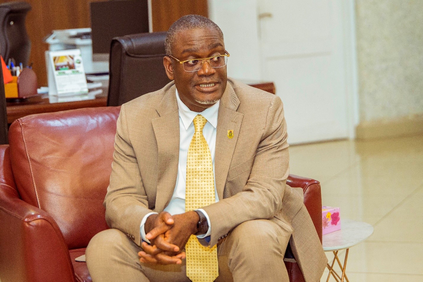 Prof. Kwabena Biritwum Nyarko, Provost CoE